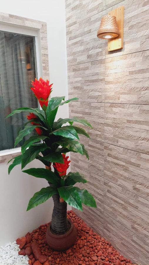 Apartamento Mobiliado No Centro De パウロ・アフォンソ エクステリア 写真